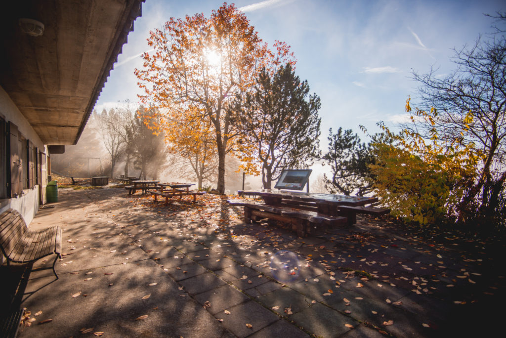 Chalet Retemberg Nature Vicques Val Terbi Jura