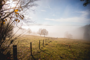 Retemberg Vicques Jura Val Terbi Nature