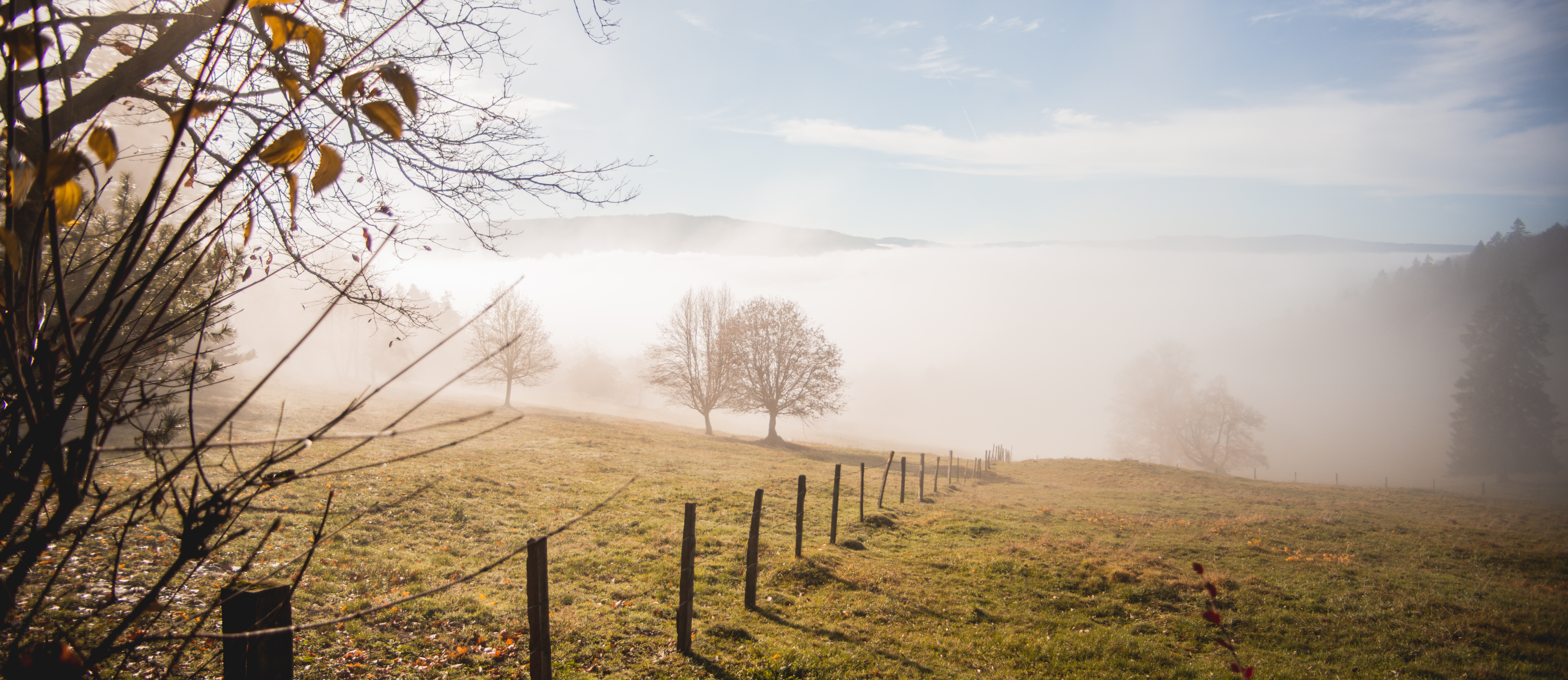 Chalet Retemberg Nature Vicques Val Terbi Jura