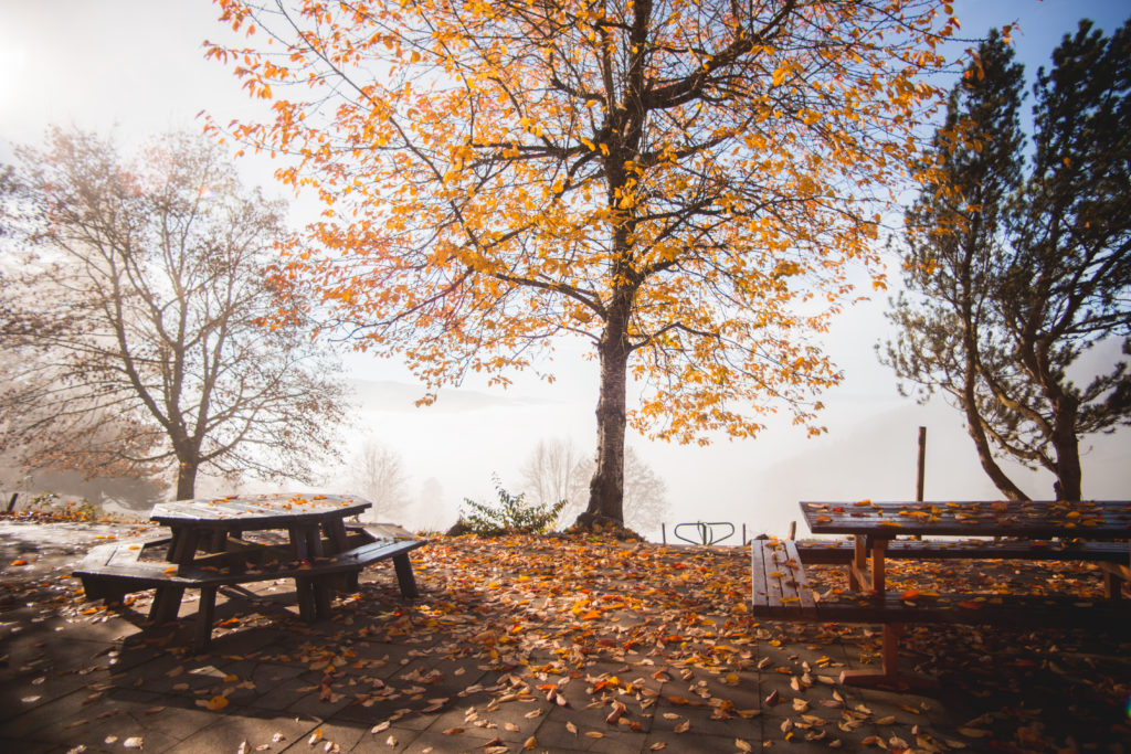 Chalet Retemberg Nature Vicques Val Terbi Jura